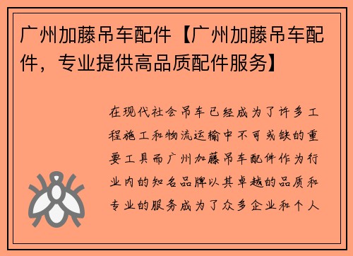 广州加藤吊车配件【广州加藤吊车配件，专业提供高品质配件服务】